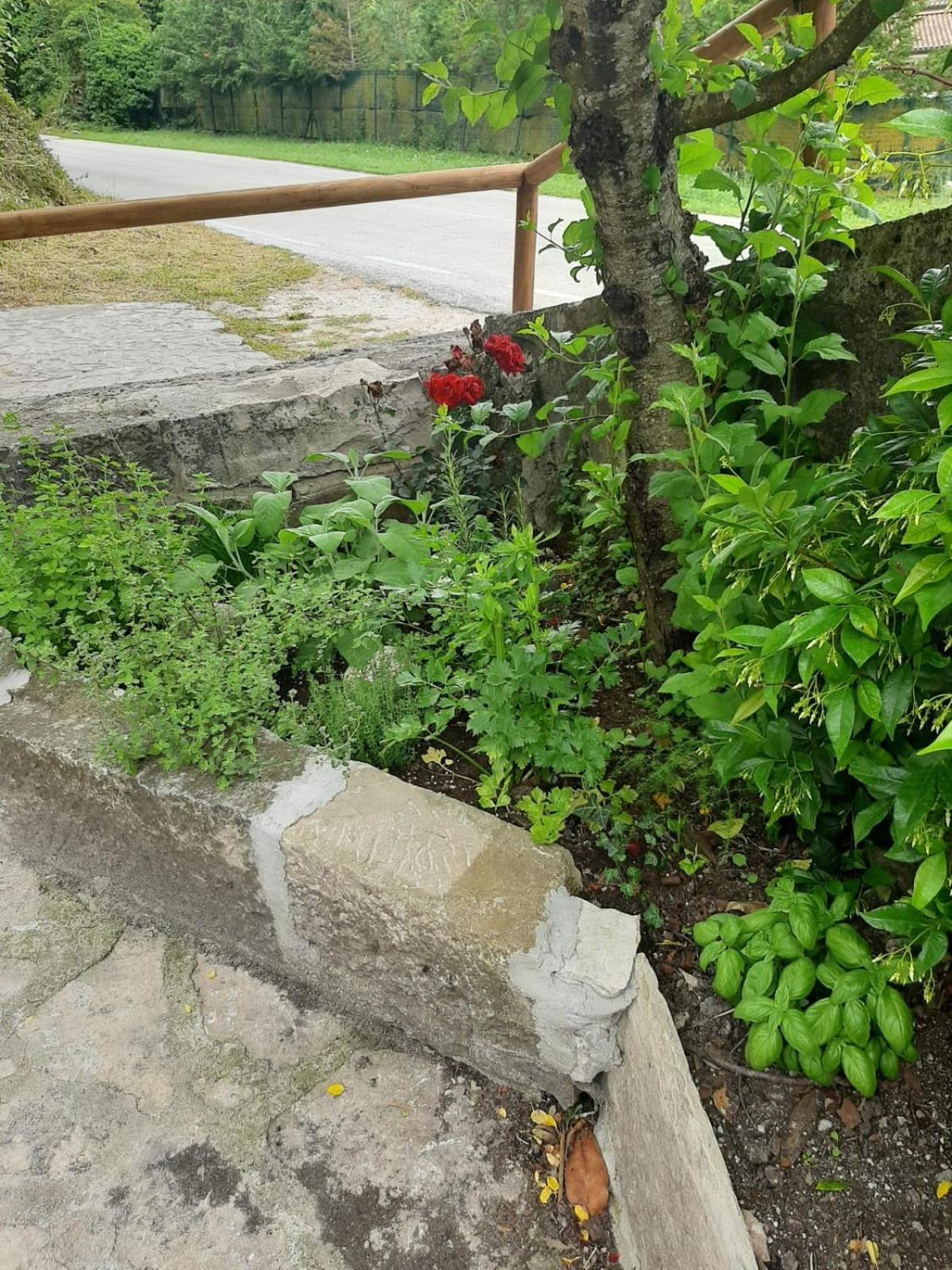 Carpinone Il Caminetto 아파트 외부 사진