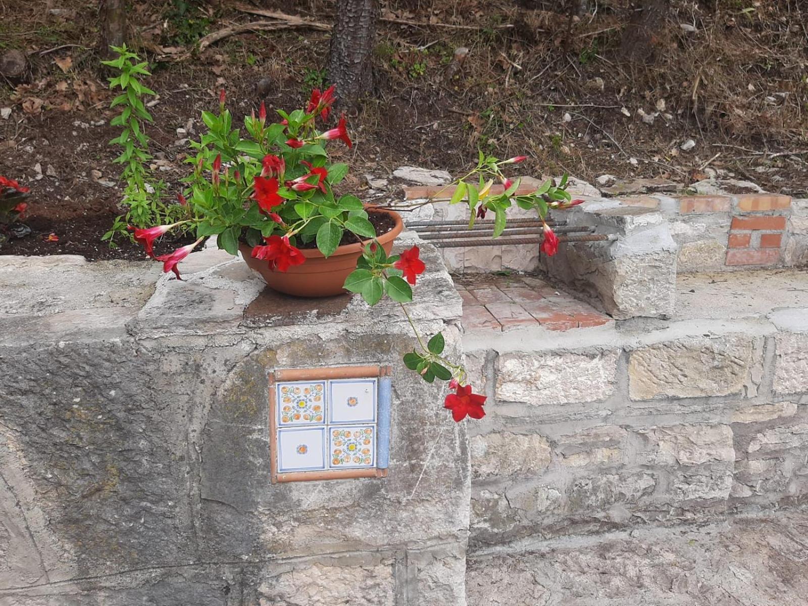 Carpinone Il Caminetto 아파트 외부 사진