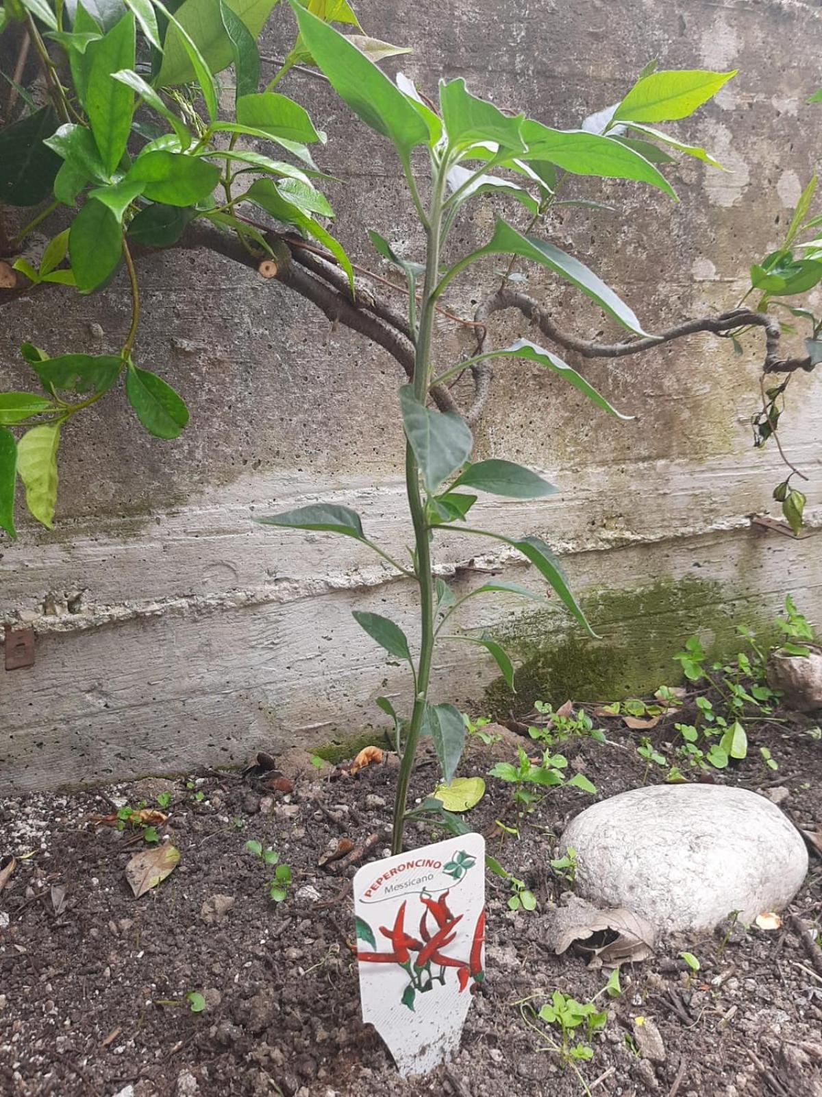 Carpinone Il Caminetto 아파트 외부 사진